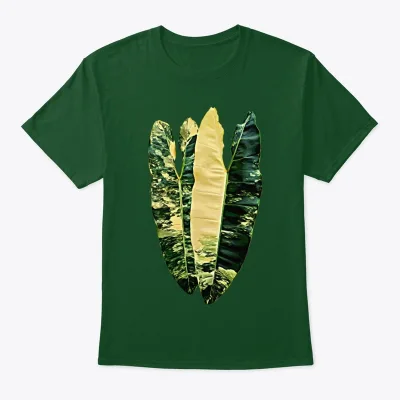 Philodendron billietiae - Variegata