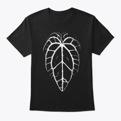 Anthurium crystallinum