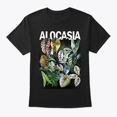 Alocasia variegata