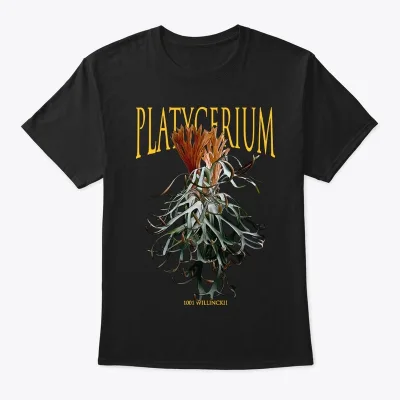 Platycerium willinckii