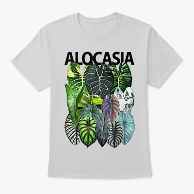Alocasia species
