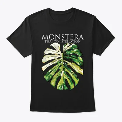Monstera deliciosa: Thai Constellation